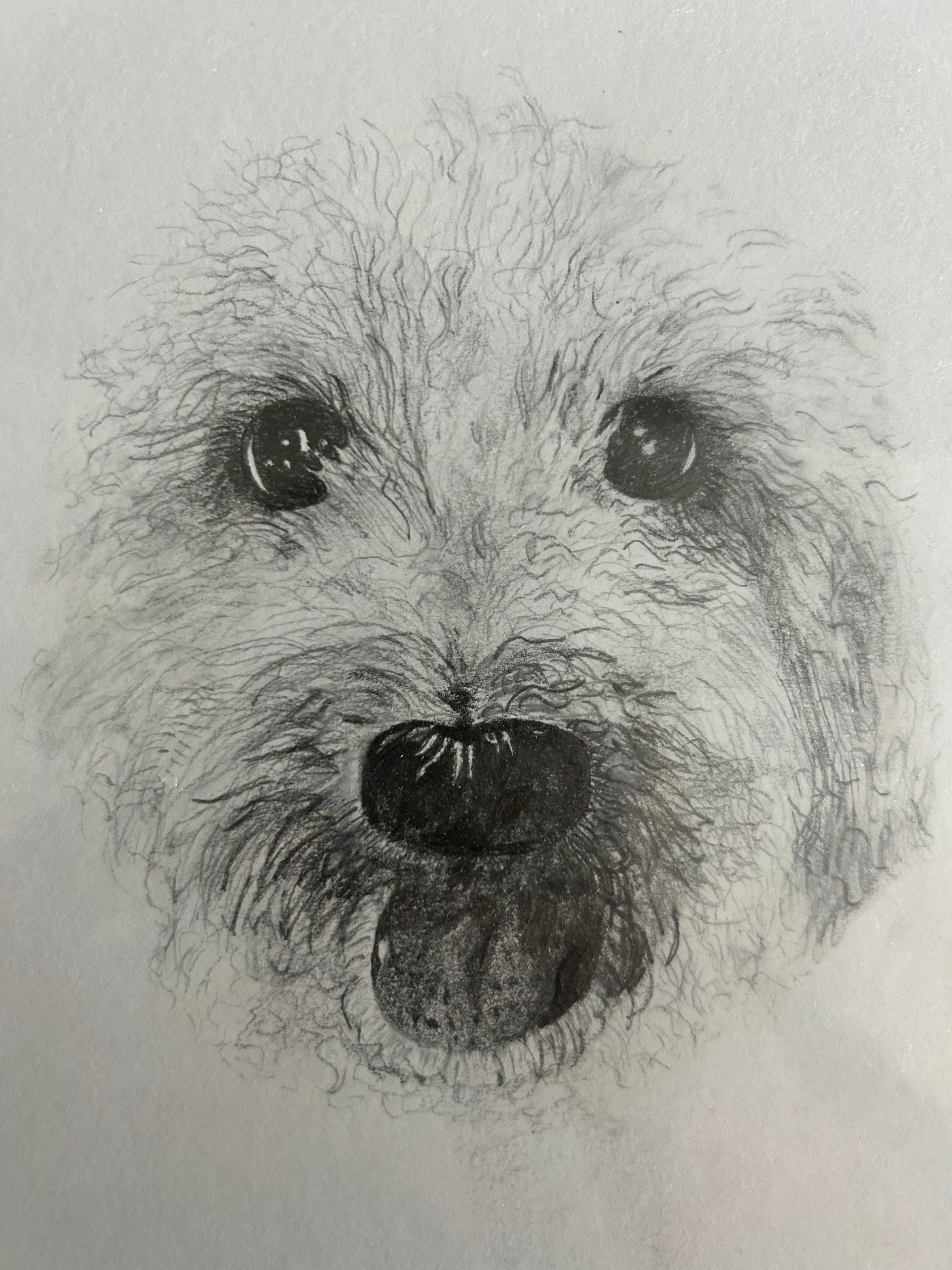 B&W Personalized Pet Portrait - Large Original Illustrated Artwork
