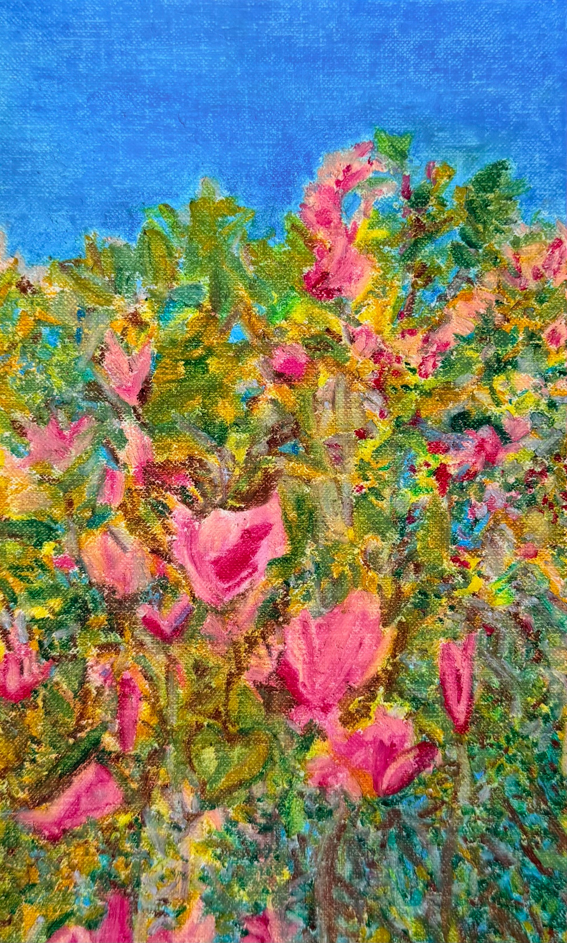 Pink Magnolias - 9x12in Original Oil Pastel on Canvas Paper - Floral Oil Painting