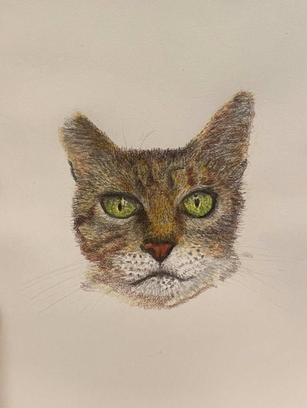 Colored Pencil Personalized Pet Portrait - Large Original Illustrated Artwork