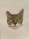 Colored Pencil Personalized Pet Portrait - Large Original Illustrated Artwork