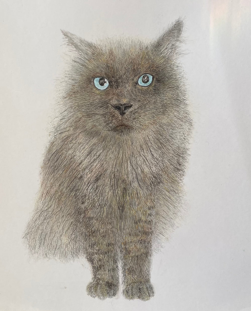 Colored Pencil Personalized Pet Portrait - Large Original Illustrated Artwork