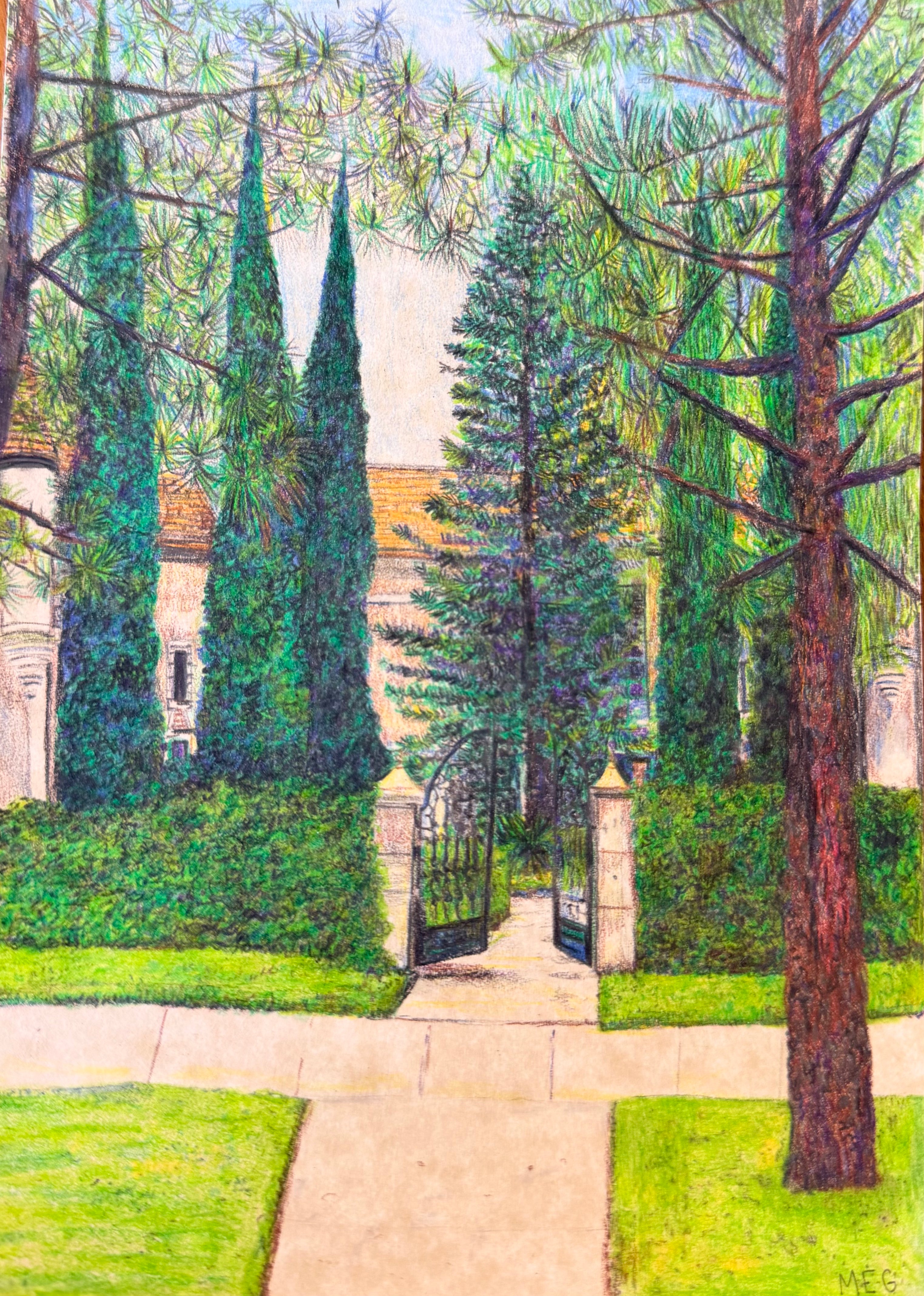 Courtyard Pines - 5.7x8 inch / 14.4x20.3 cm Original Colored Pencil Illustration - Southern California Artwork