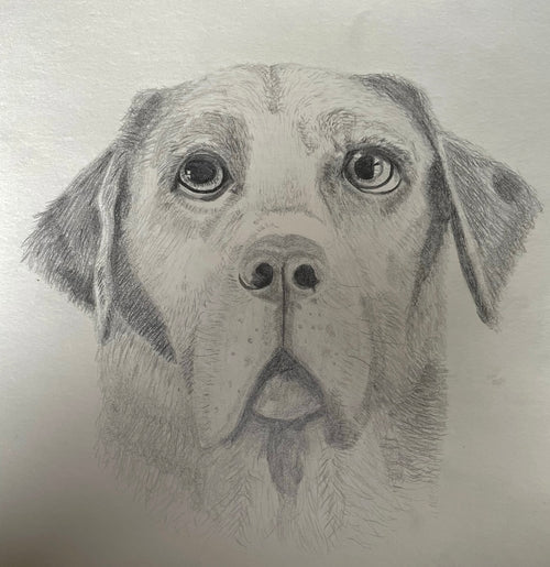 B&W Personalized Pet Portrait - Large Original Illustrated Artwork