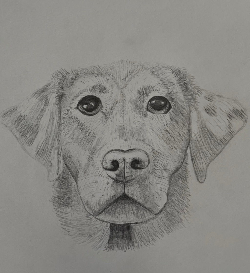 B&W Personalized Pet Portrait - Large Original Illustrated Artwork