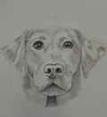 B&W Personalized Pet Portrait - Large Original Illustrated Artwork