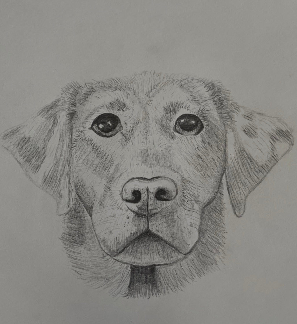 B&W Personalized Pet Portrait - Large Original Illustrated Artwork