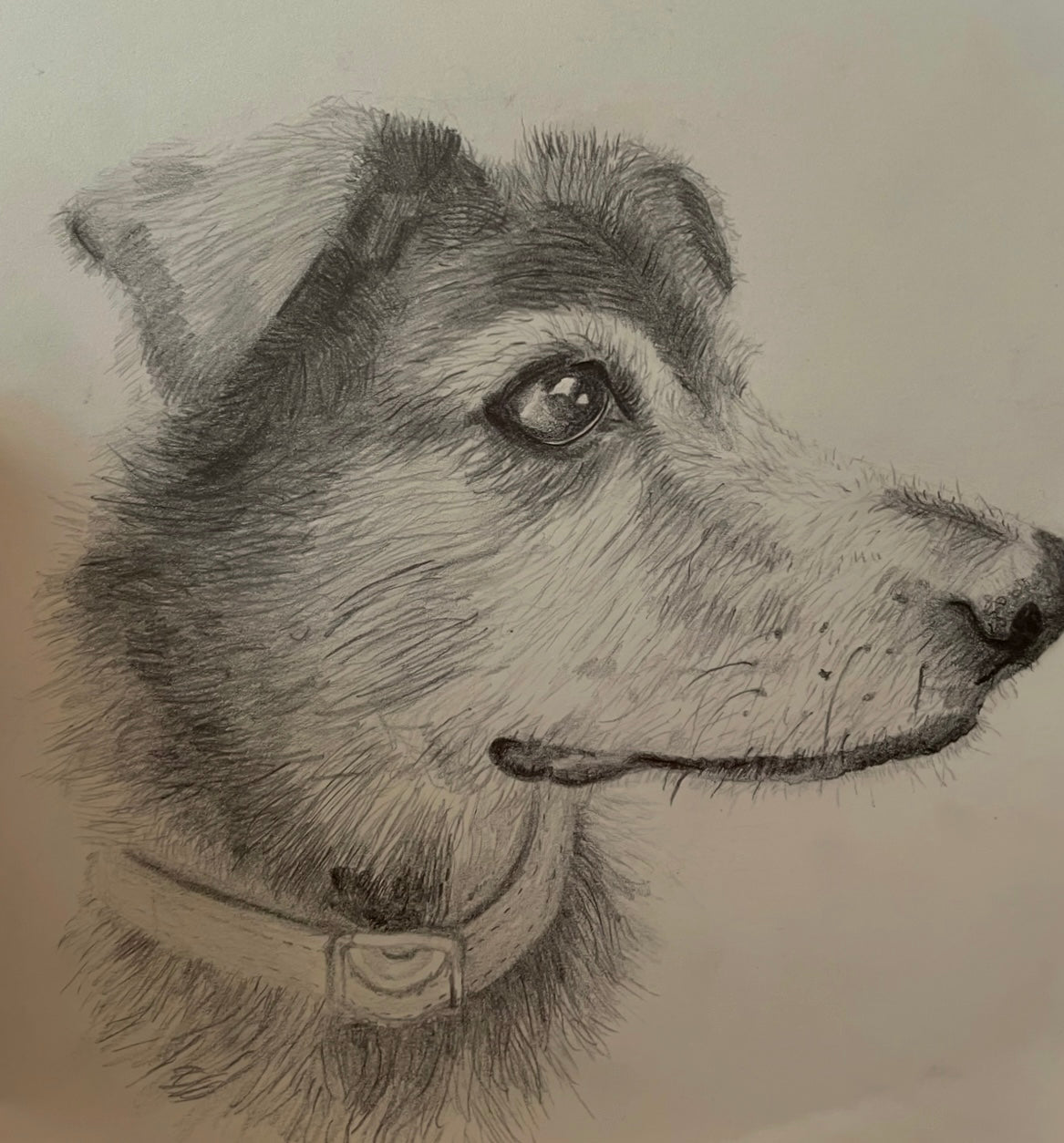B&W Personalized Pet Portrait - Large Original Illustrated Artwork