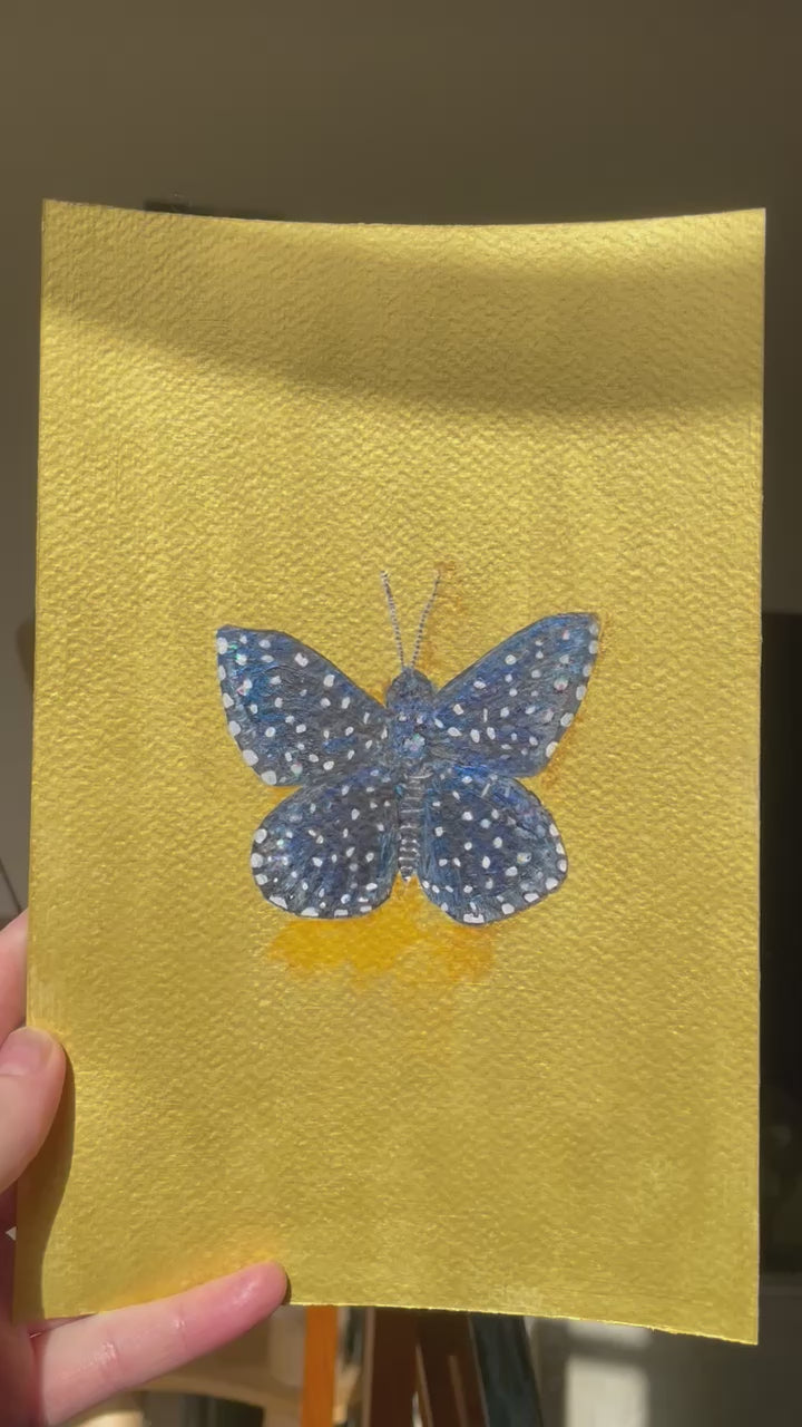 Starry Night Metalmark Butterfly - 9x6in Original Mixed Media Painting - Nature Butterfly Artwork
